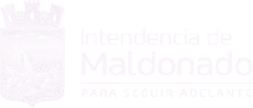 Intendencia de Maldonado